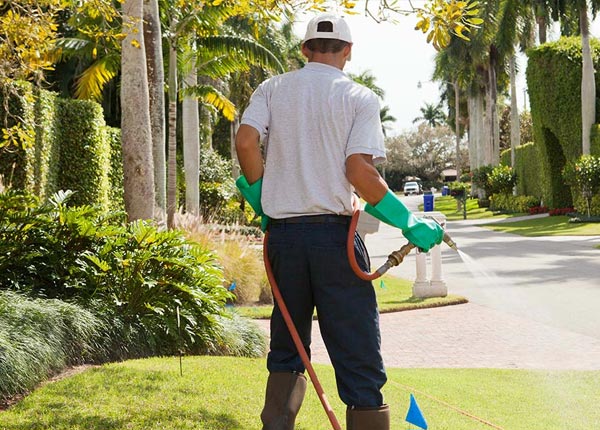 About Campo Seco CA Pest Control